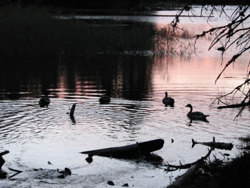 Manzanita Lake